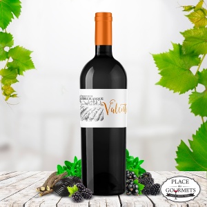 Grand vin de Terre Blanque, cuvée Valentin : vin bordeaux supérieur rouge 2016