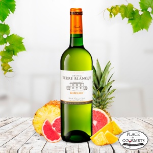 Vin blanc Château Terre Blanque : vin bordeaux blanc sec 2017